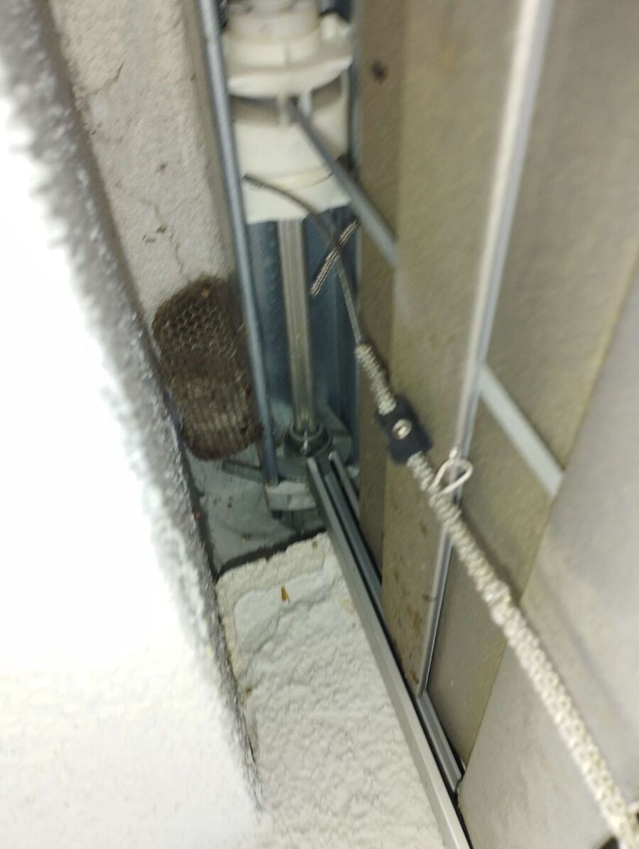 exterminateur d insectes a-Evionnaz.jpg