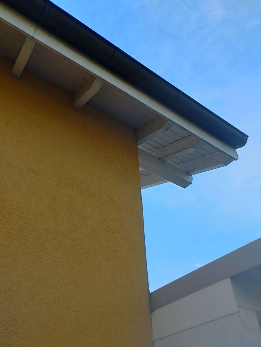 exterminateur d insectes a-Les Ponts-de-Martel.jpg