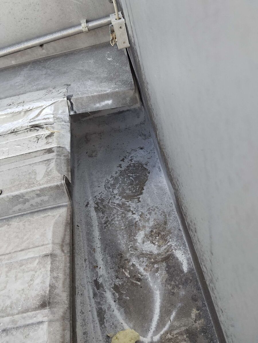 exterminateur d insectes a-Leytron.jpg