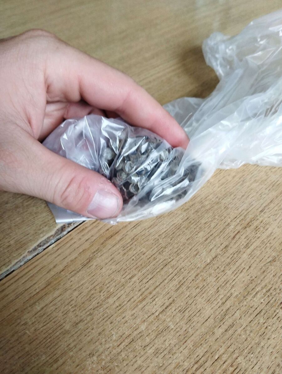 exterminateur d insectes a-Mont-Noble.jpg