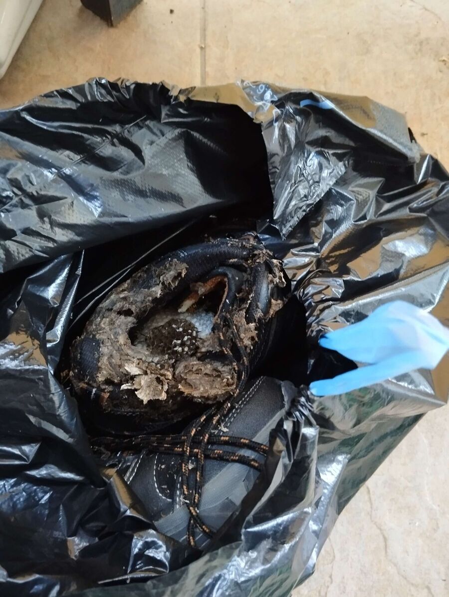 exterminateur d insectes a-Noble-Contrée.jpg