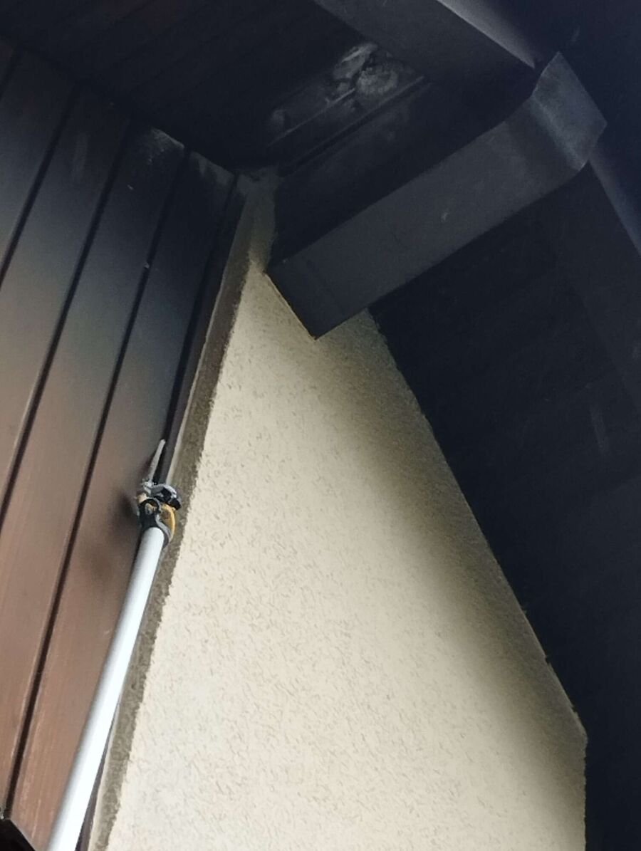 exterminateur d insectes a-Ried-Brig.jpg