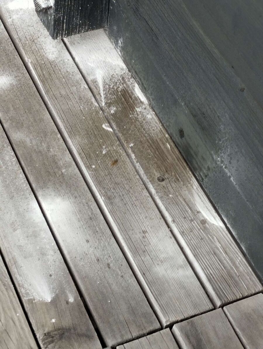 exterminateur d insectes a-Riederalp.jpg