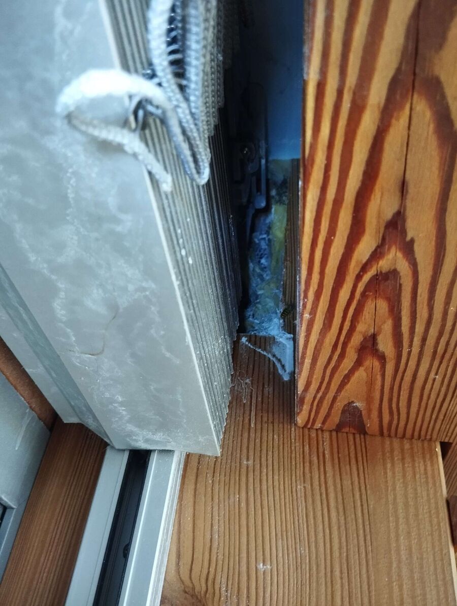 exterminateur d insectes a-Saas-Grund.jpg