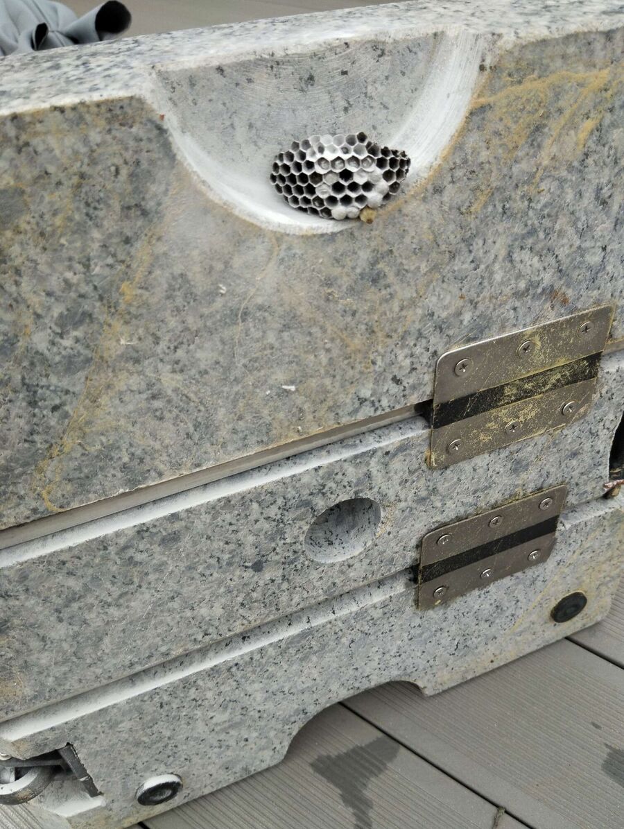 exterminateur d insectes a-Sierre.jpg