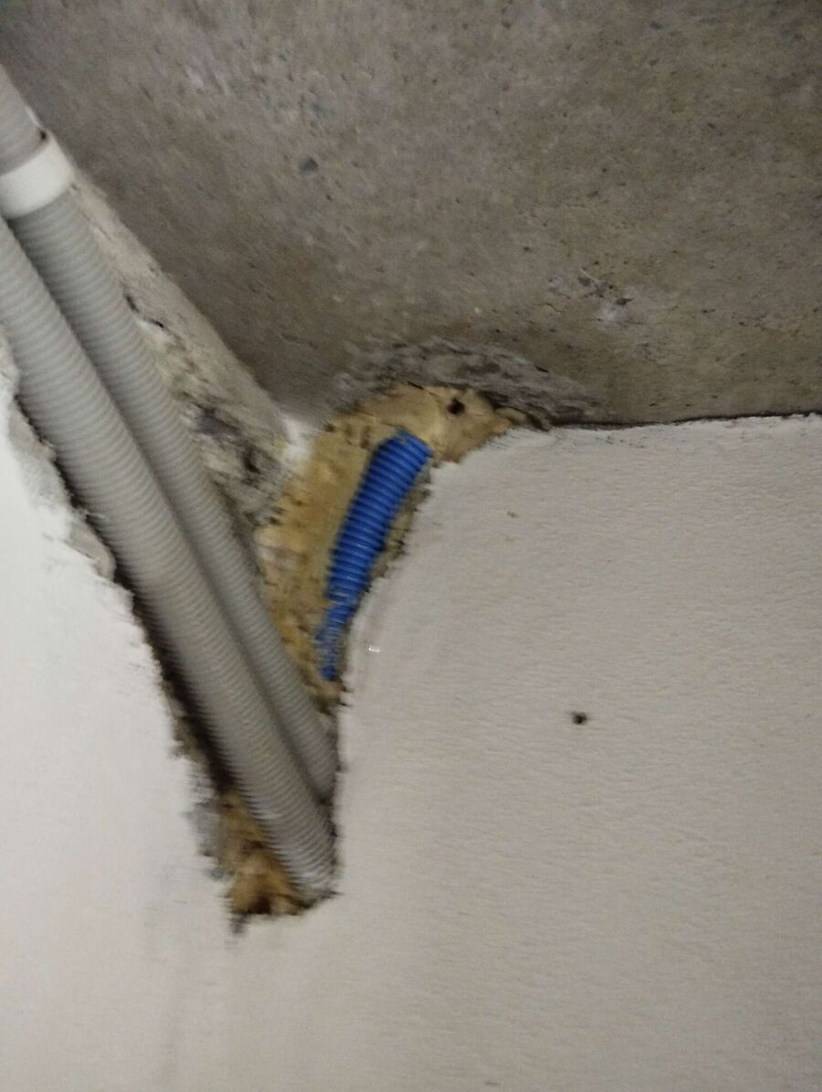 exterminateur d insectes a-Termen.jpg