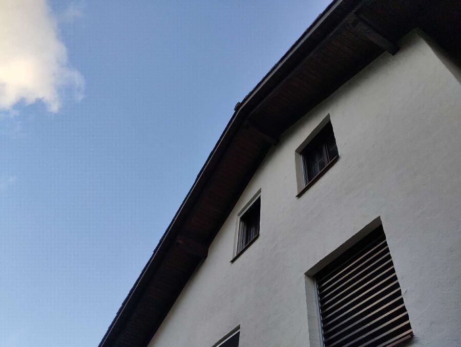 exterminateur d insectes a-Törbel.jpg