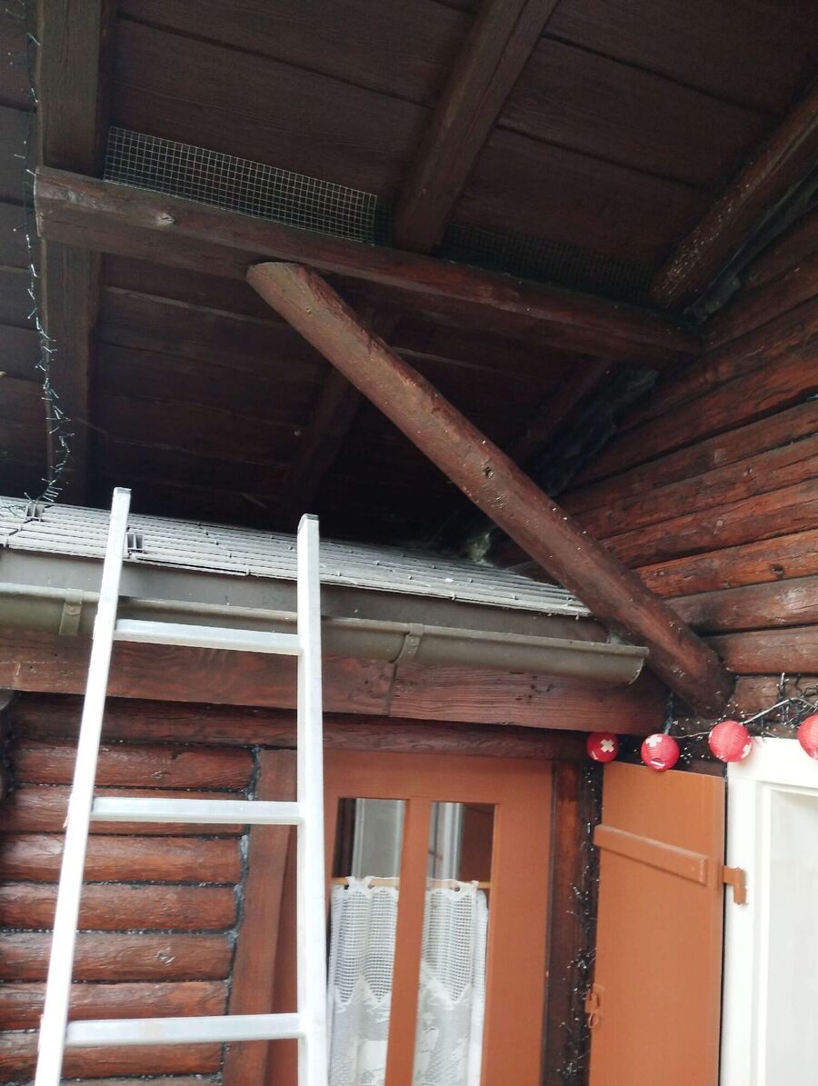 exterminateur d insectes a-Troistorrents.jpg