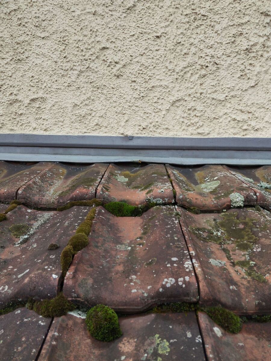 exterminateur d insectes a-Turtmann-Unterems.jpg