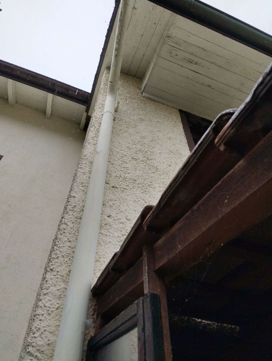 exterminateur d insectes a-Vex.jpg