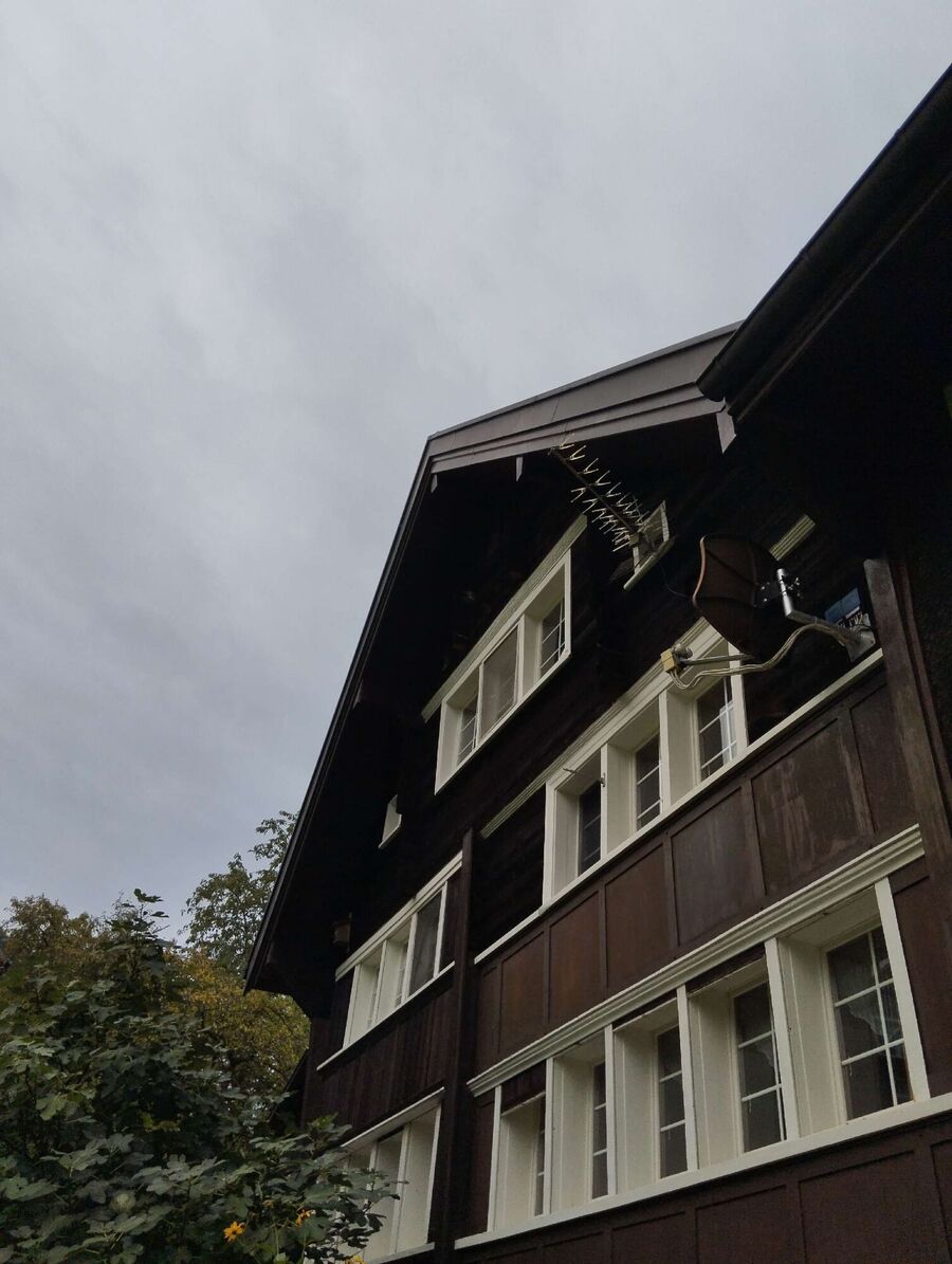 exterminateur d insectes a-Visp.jpg