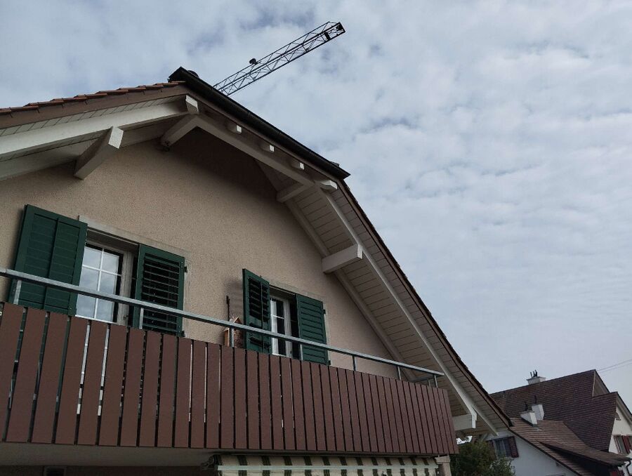 exterminateur d insectes a-Vouvry.jpg