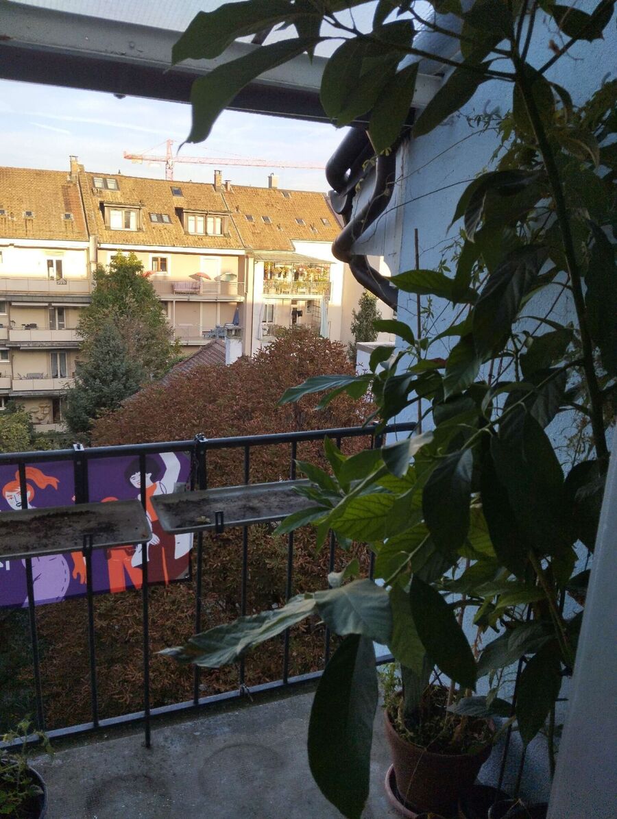 exterminateur d insectes a-Autigny.jpg