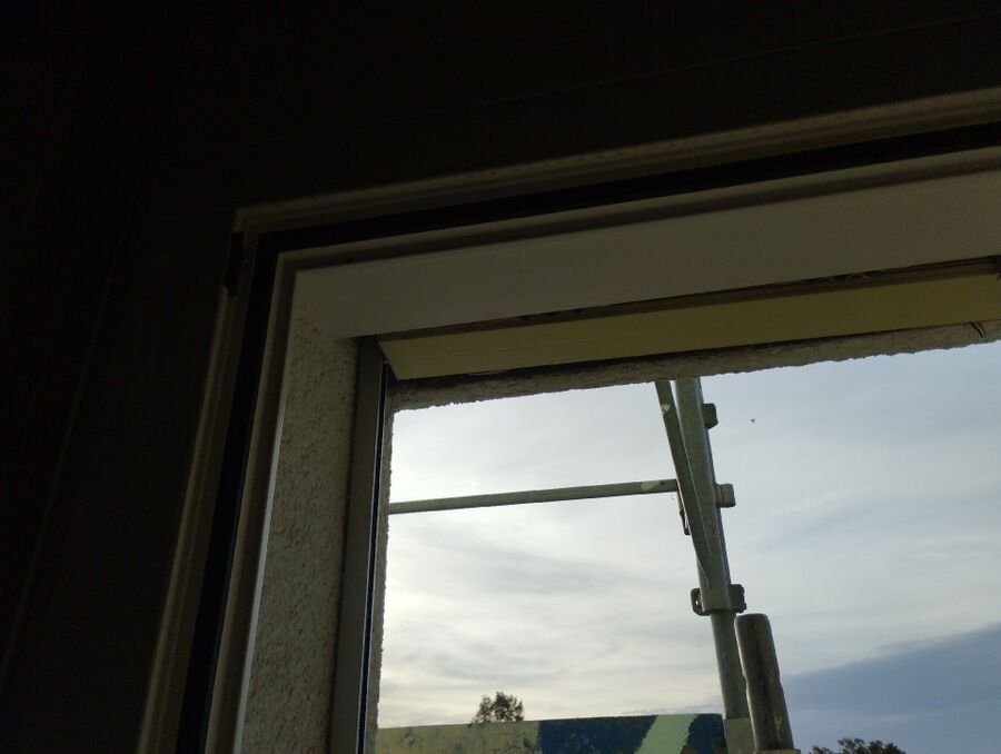 exterminateur d insectes a-Avry.jpg