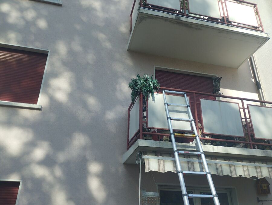 exterminateur d insectes a-Bas-Intyamon.jpg