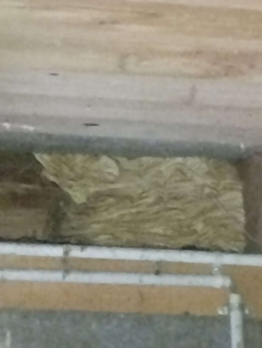 exterminateur d insectes a-Val-de-Travers.jpg