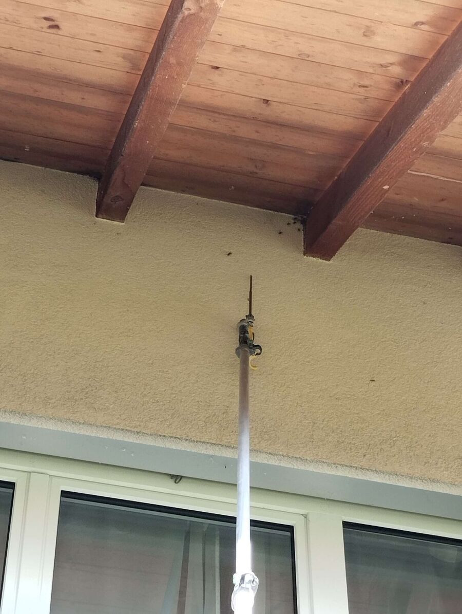 exterminateur d insectes a-Chapelle (Glâne).jpg