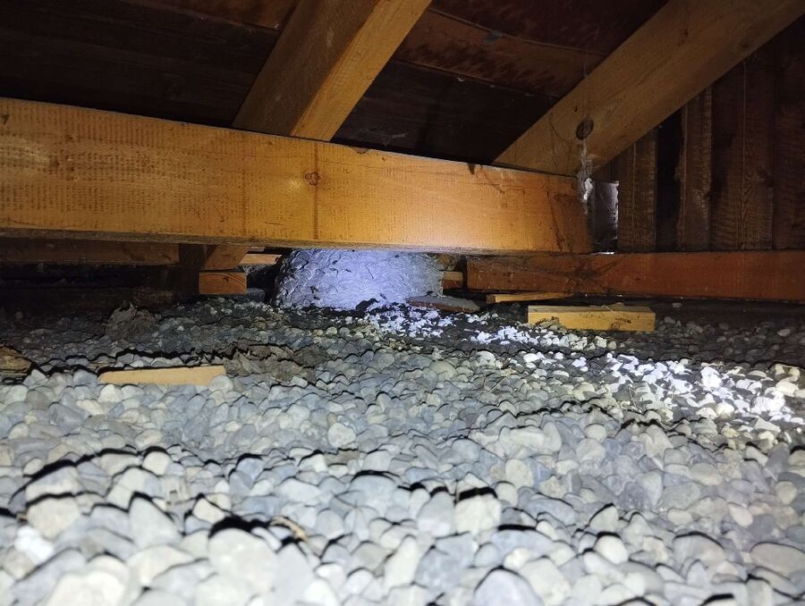 exterminateur d insectes a-Châtel-Saint-Denis.jpg