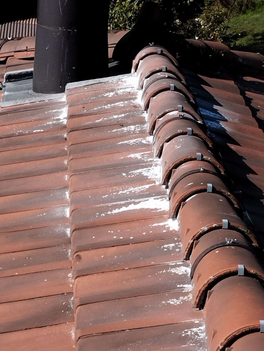 exterminateur d insectes a-Châtel-sur-Montsalvens.jpg