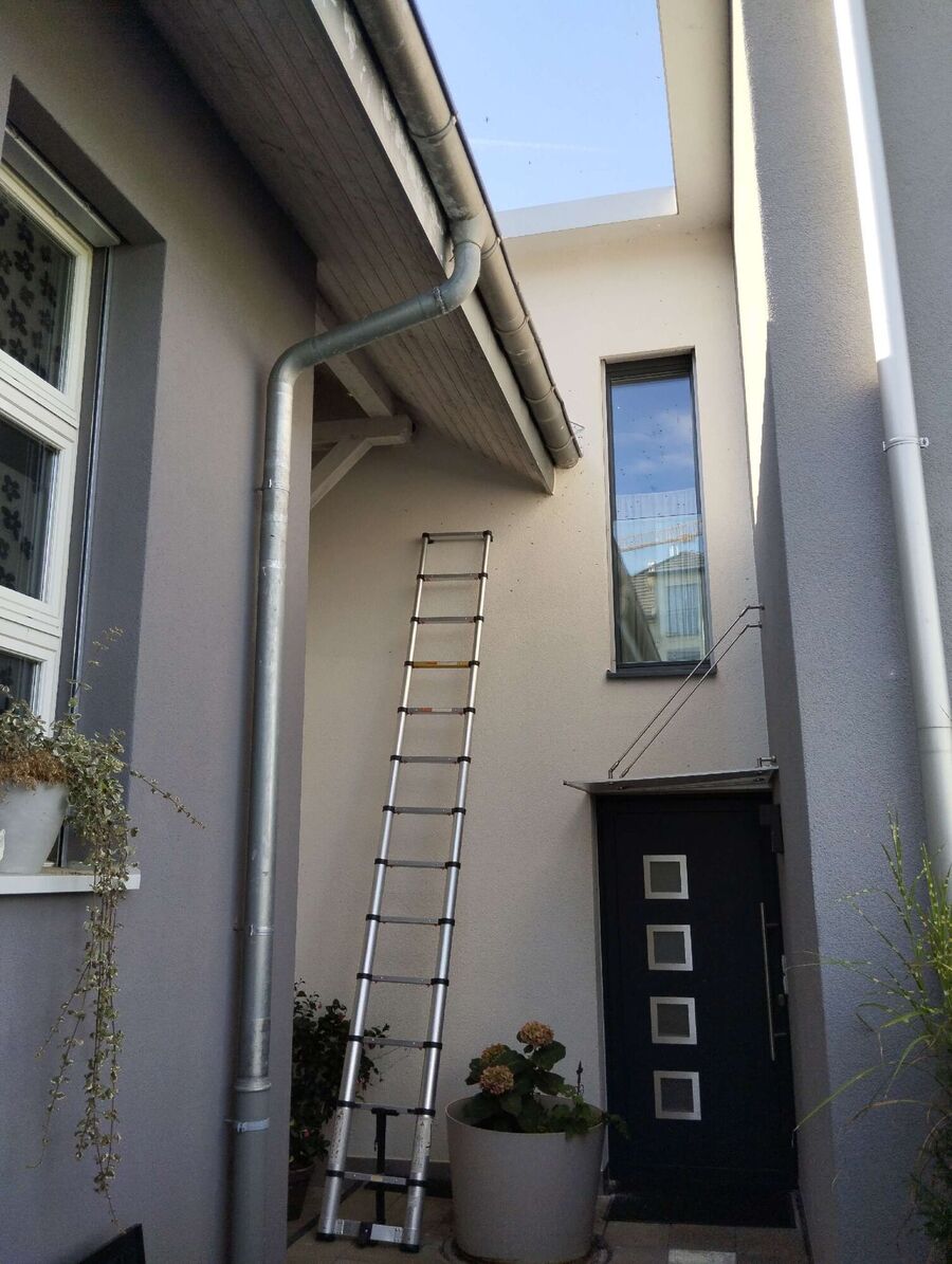 exterminateur d insectes a-Châtillon (FR).jpg