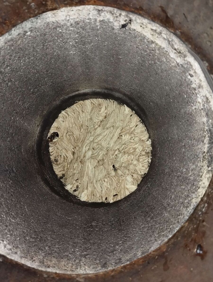 exterminateur d insectes a-Cheyres-Châbles.jpg