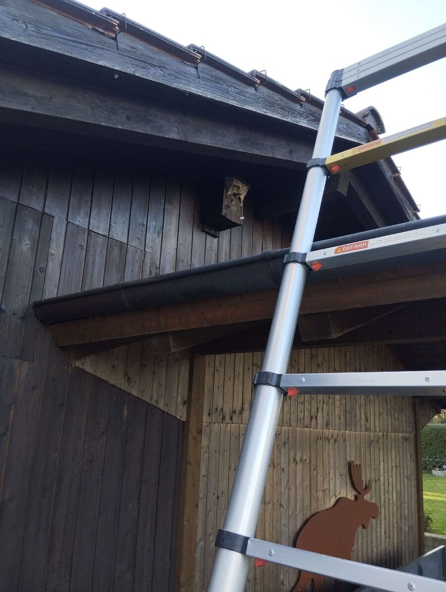 exterminateur d insectes a-Corminboeuf.jpg