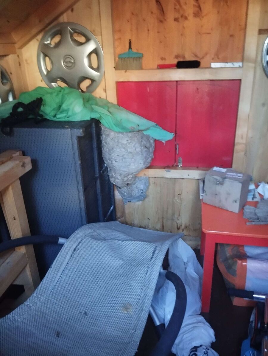 exterminateur d insectes a-Cottens (FR).jpg