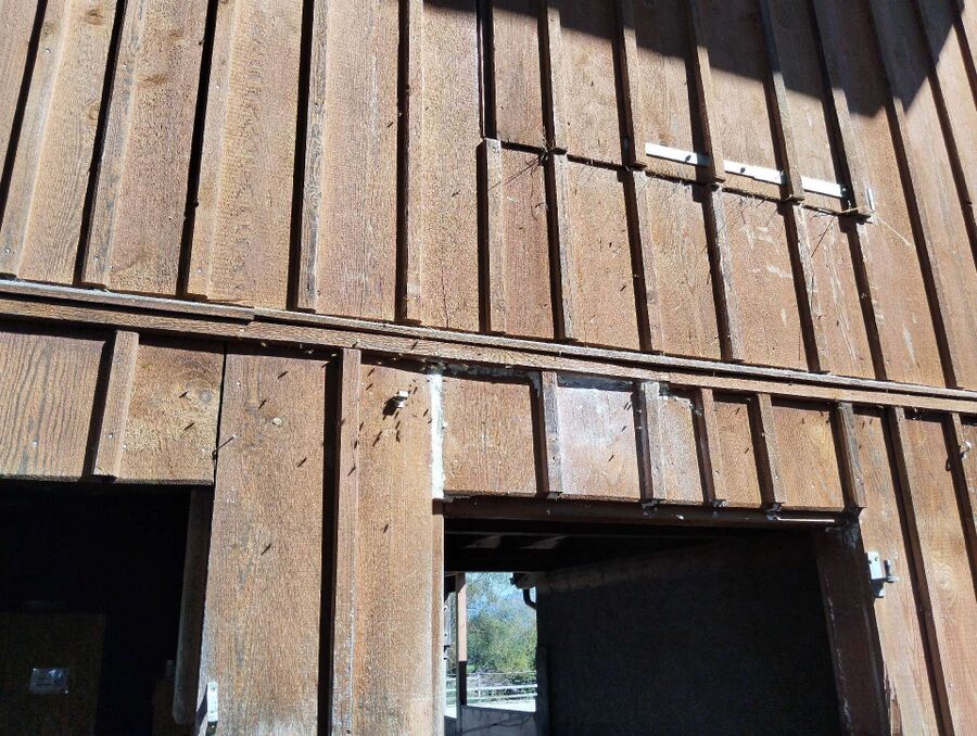 exterminateur d insectes a-Courtepin.jpg