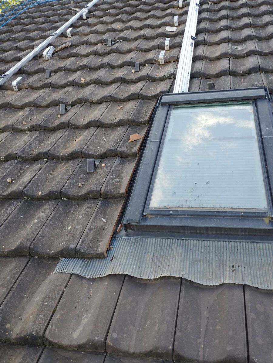 exterminateur d insectes a-Fétigny.jpg