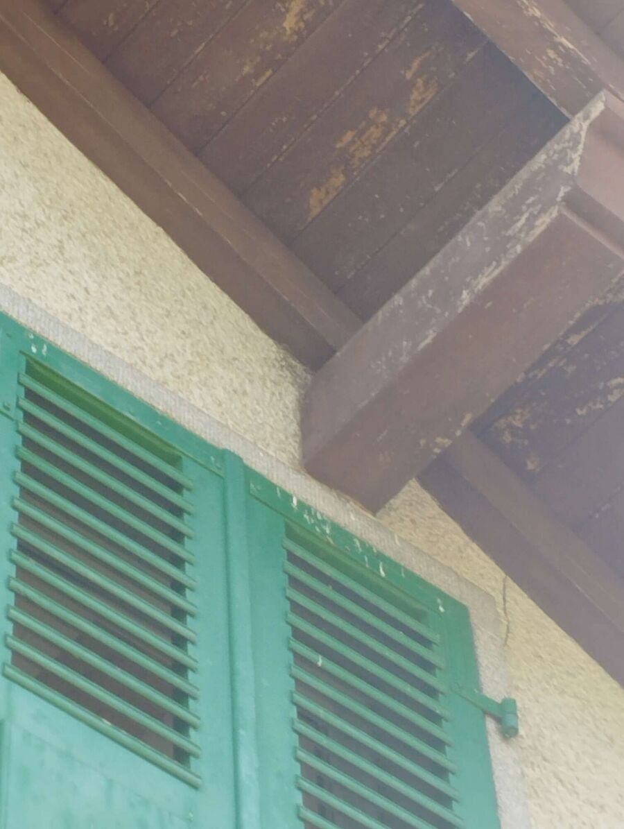 exterminateur d insectes a-Avully.jpg