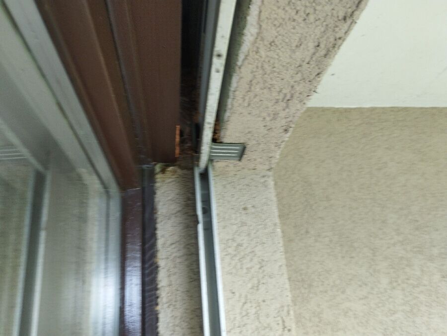 exterminateur d insectes a-Granges (Veveyse).jpg