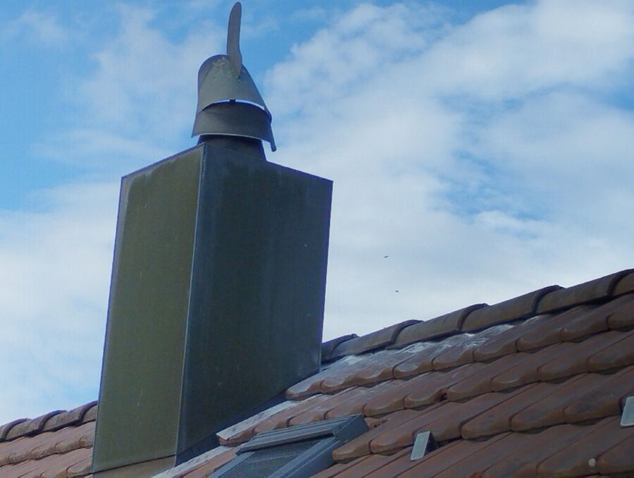 exterminateur d insectes a-Greng.jpg