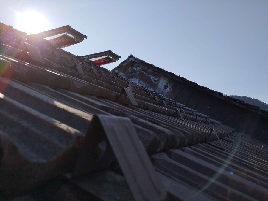 exterminateur d insectes a-Gurmels.jpg