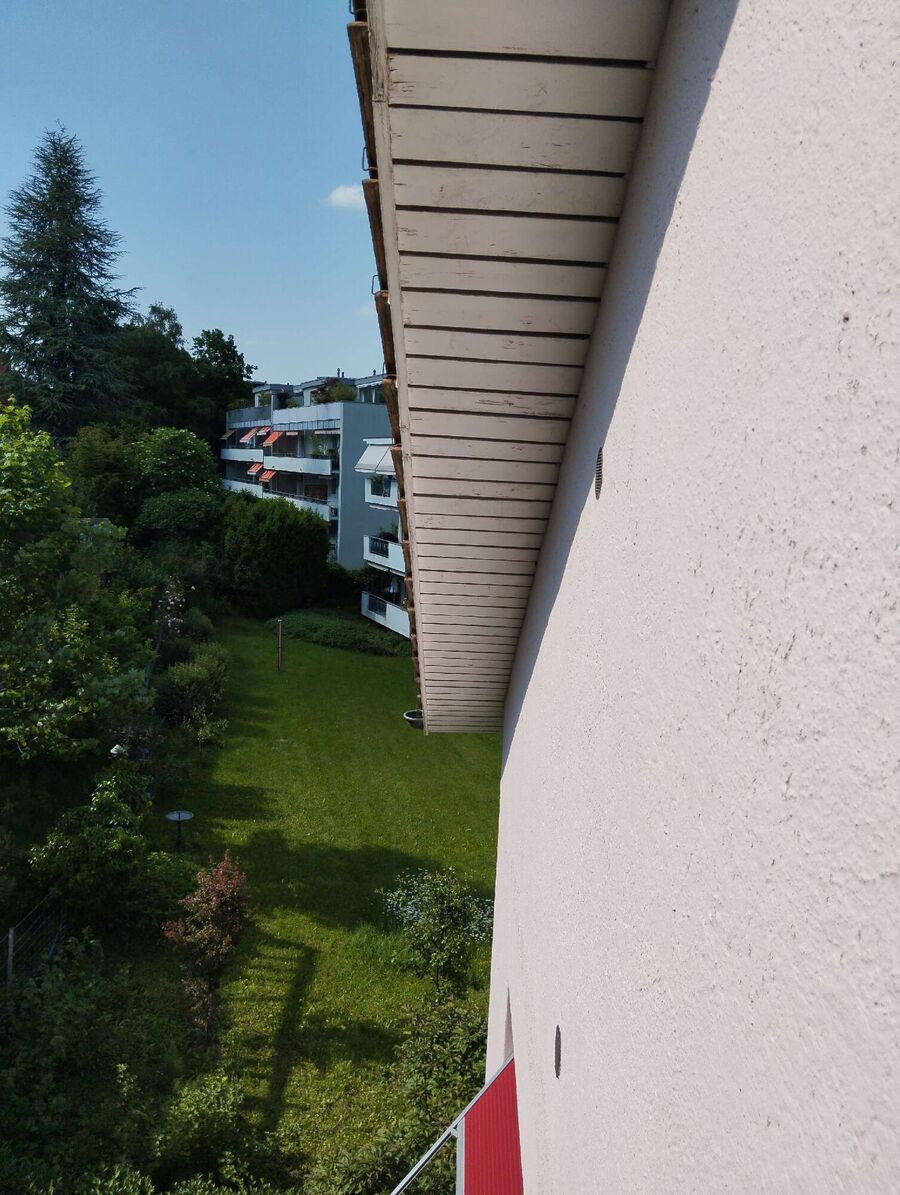 exterminateur d insectes a-Cortaillod.jpg