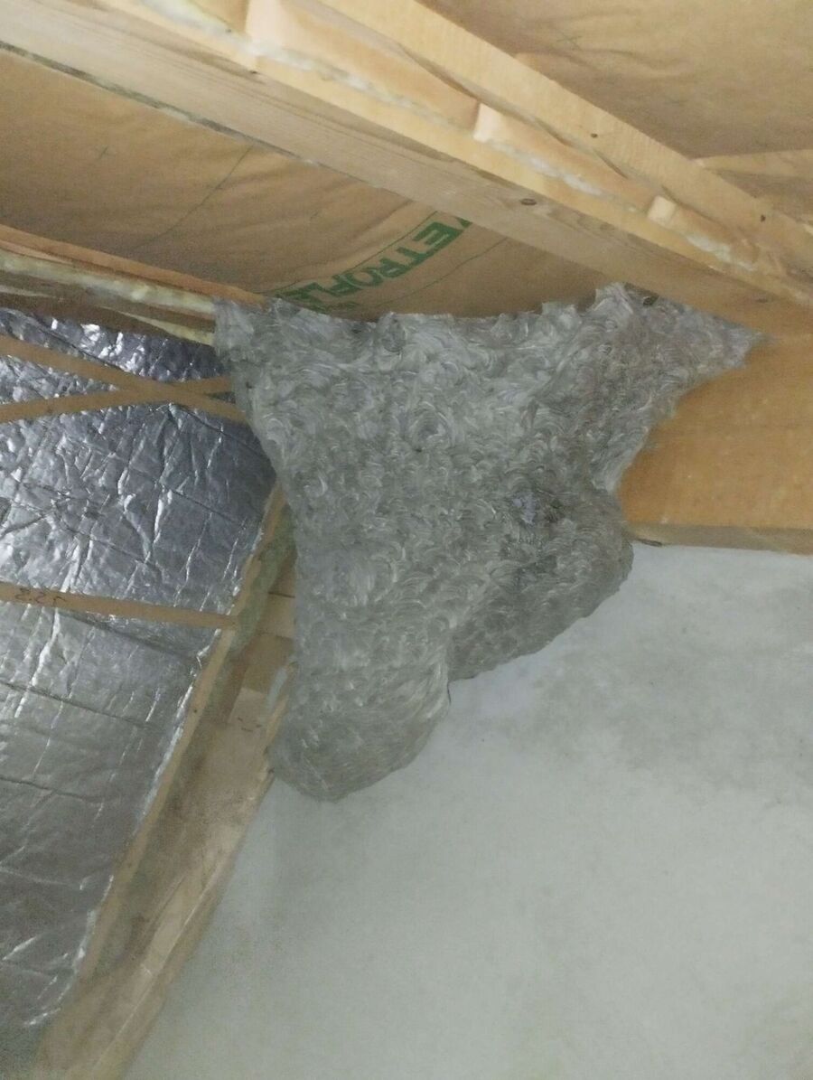 exterminateur d insectes a-Avusy.jpg