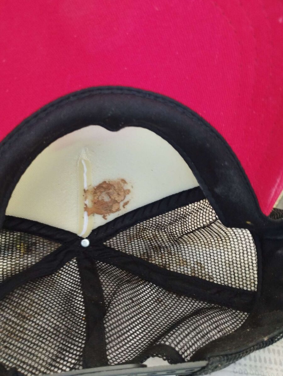 exterminateur d insectes a-Haut-Intyamon.jpg