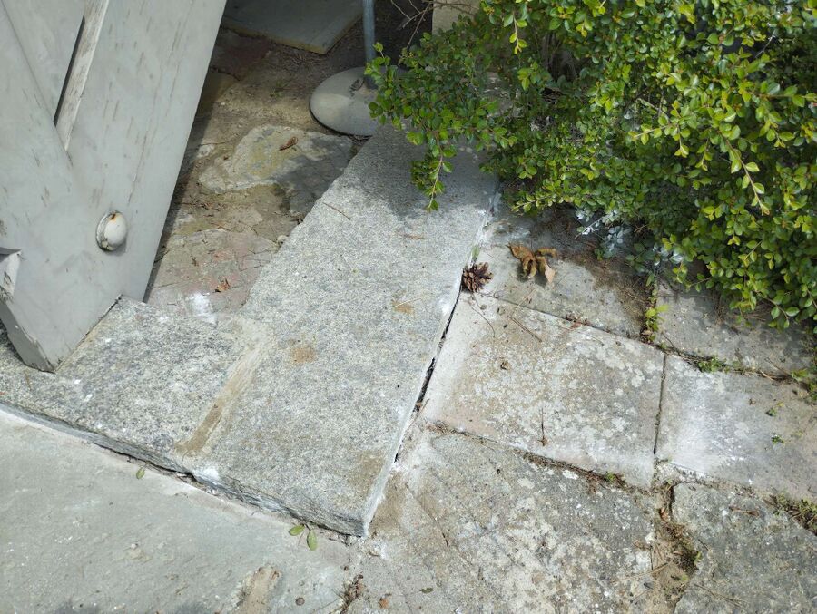 exterminateur d insectes a-Heitenried.jpg