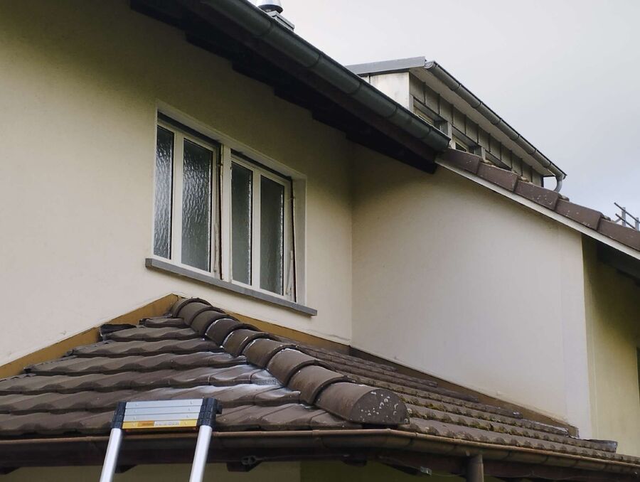 exterminateur d insectes a-La Brillaz.jpg