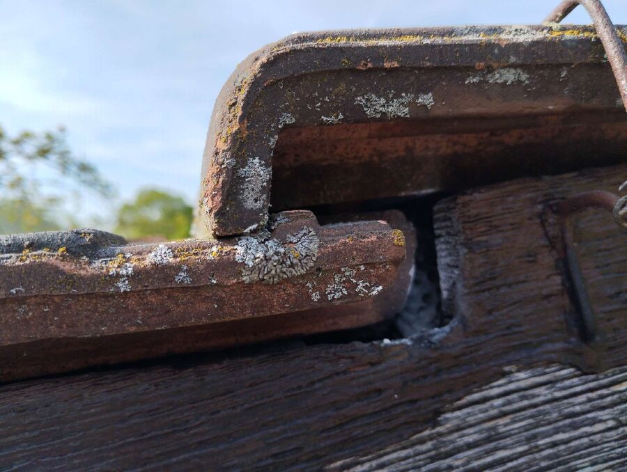 exterminateur d insectes a-La Roche.jpg