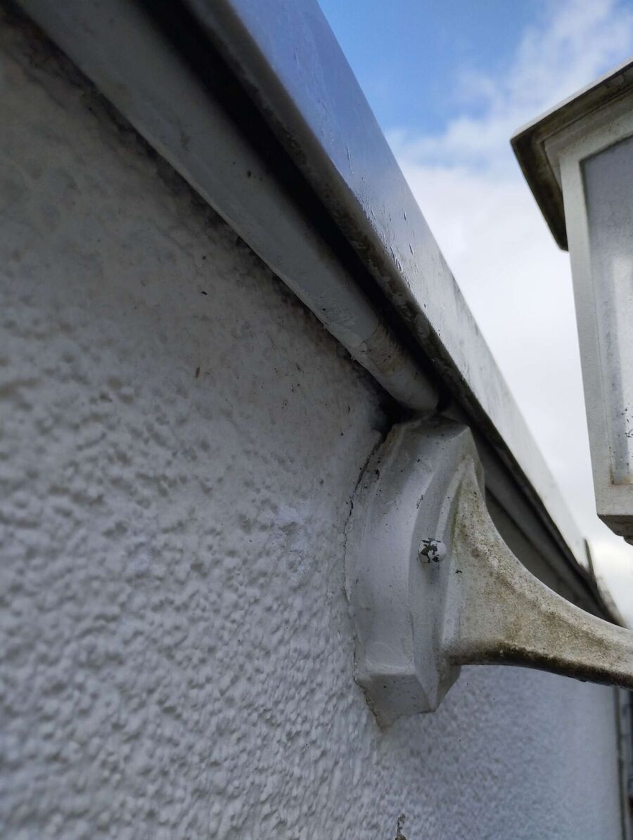 exterminateur d insectes a-La Verrerie.jpg