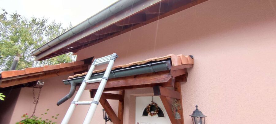 exterminateur d insectes a-Le Châtelard.jpg