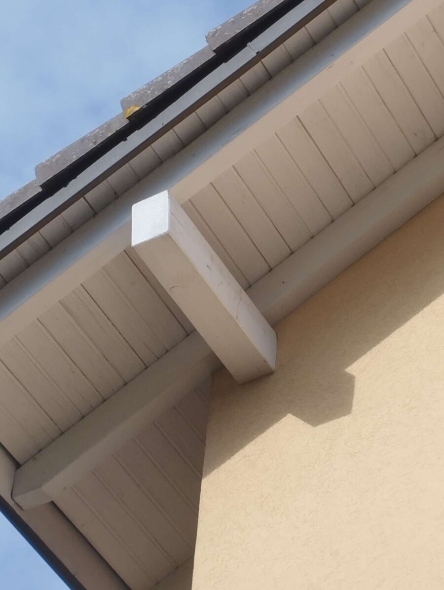 exterminateur d insectes a-Les Montets.jpg