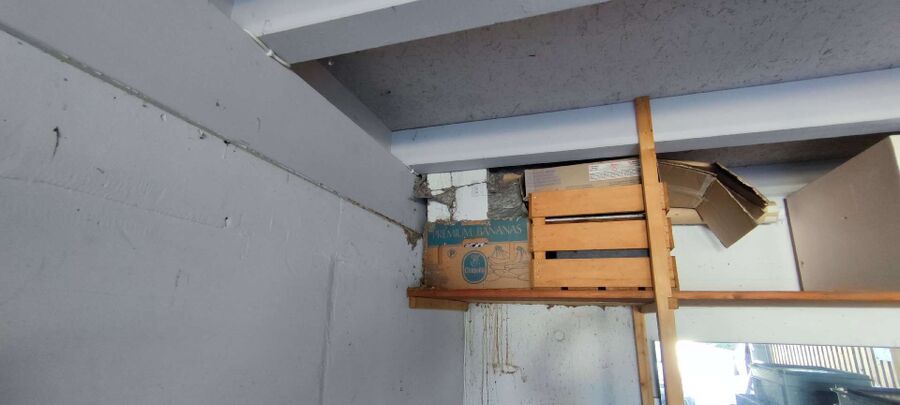 exterminateur d insectes a-Lully (FR).jpg