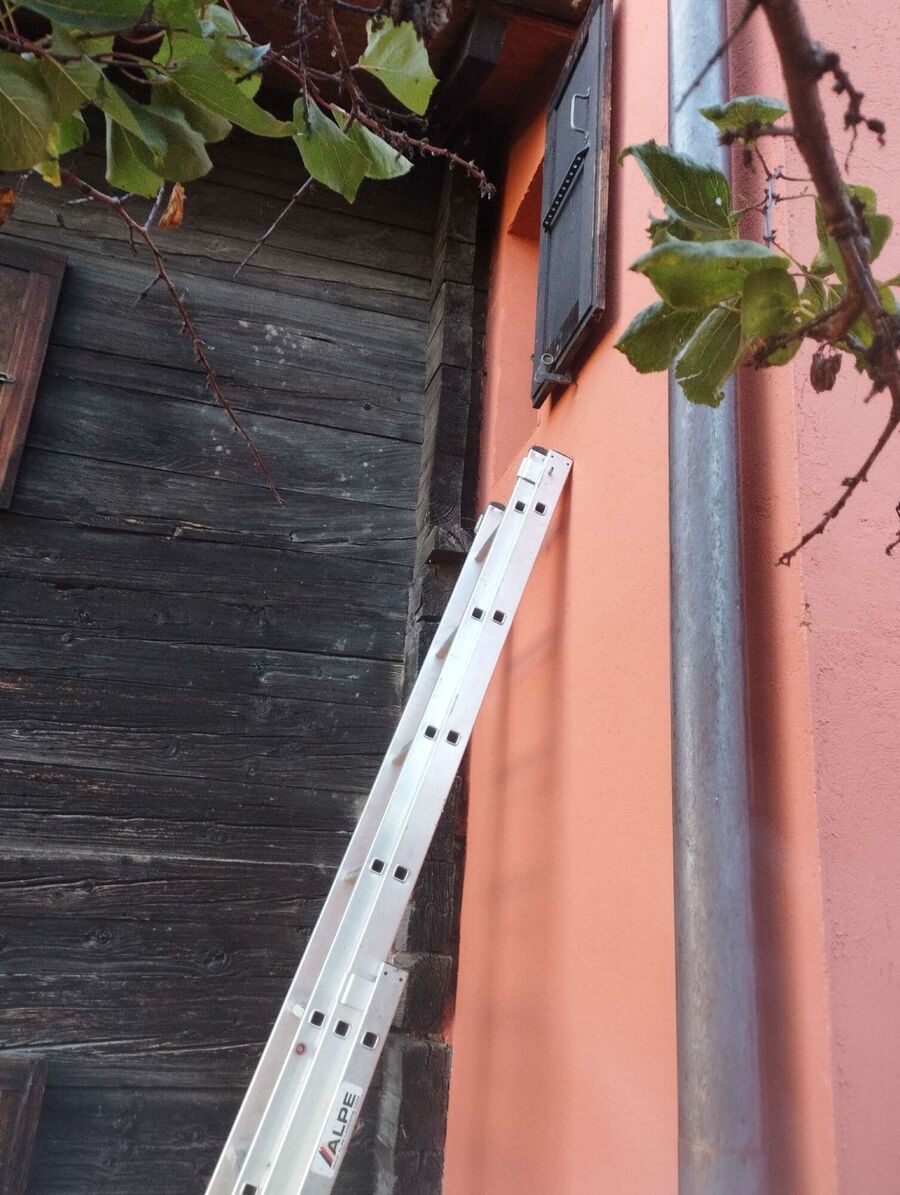 exterminateur d insectes a-Marsens.jpg