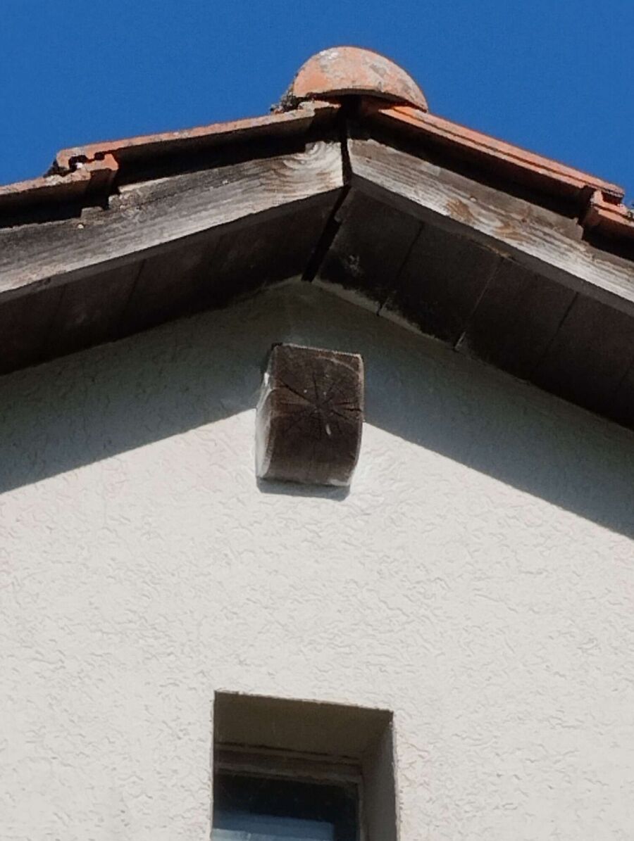 exterminateur d insectes a-Ménières.jpg