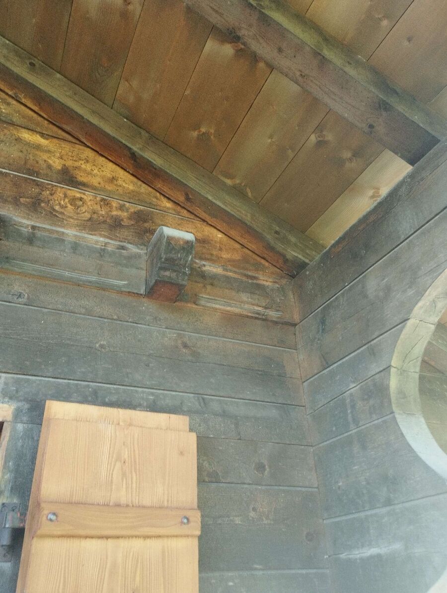 exterminateur d insectes a-Mézières (FR).jpg