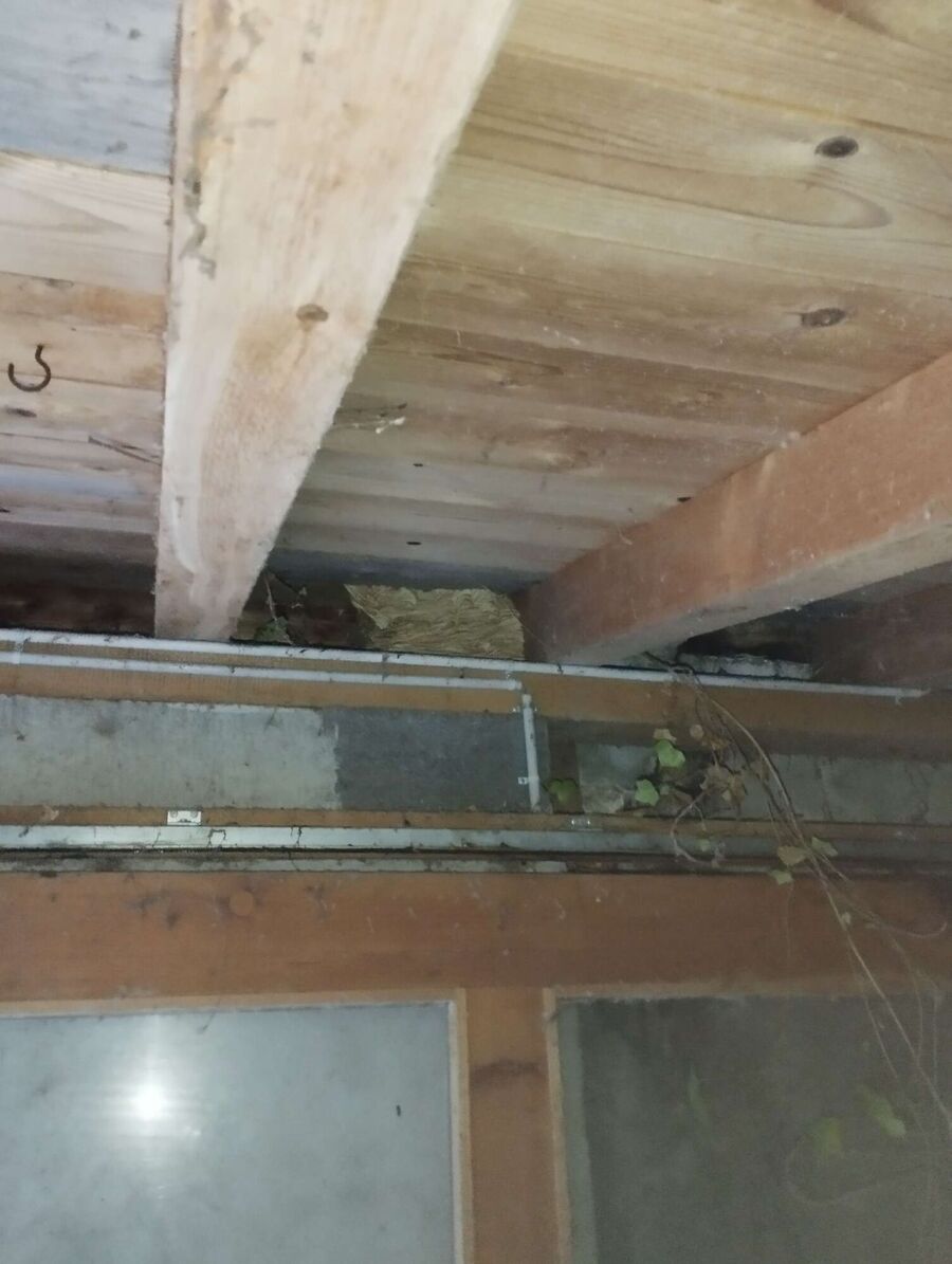 exterminateur d insectes a-Misery-Courtion.jpg