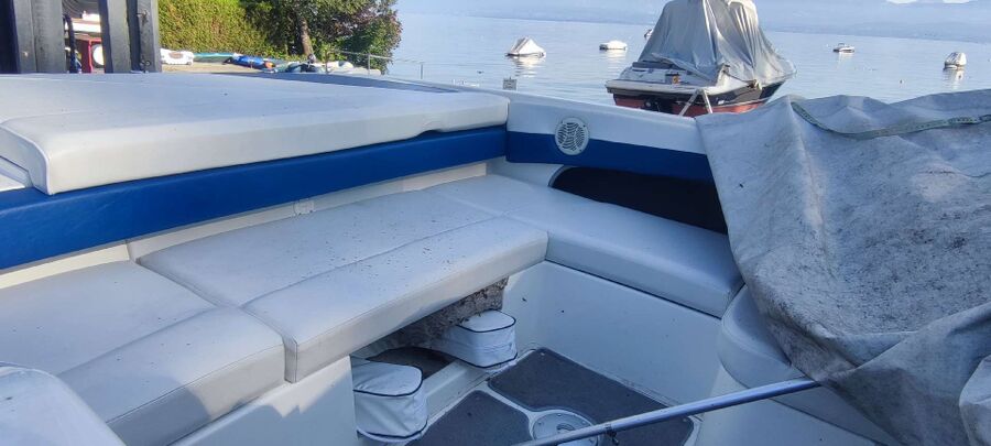 exterminateur d insectes a-Montet (Glâne).jpg