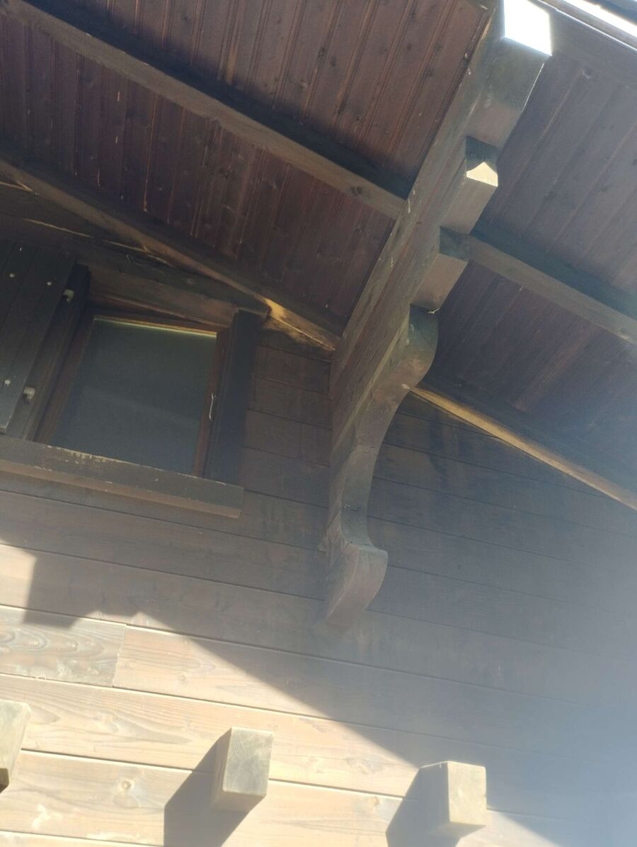 exterminateur d insectes a-Morlon.jpg