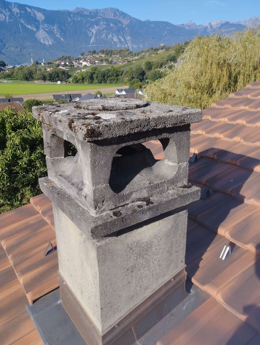 exterminateur d insectes a-Muntelier.jpg